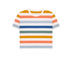 Multicolour Stripes Printed T-shirt