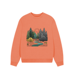 Apricot New Season Women's Oversized Fit Organic Jumpers