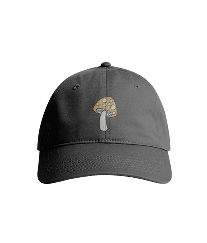 Sustainable Organic Cotton 6 - Panel Cap | Minimalist Mushroom Embroider - Loom & Sprout
