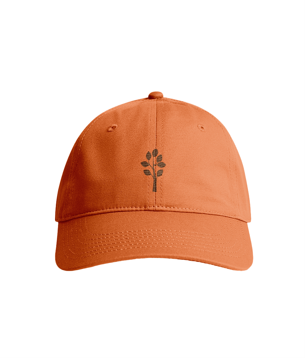 Sustainable Organic Cotton 6 - Panel Cap | Minimalist tree Embroidery - Loom & Sprout