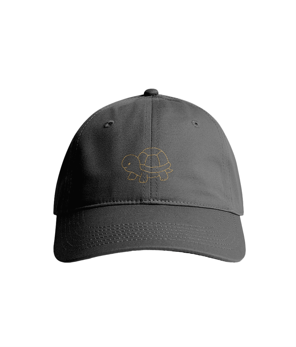 Sustainable Organic Cotton 6 - Panel Cap | Minimalist Turtle Embroidery - Loom & Sprout