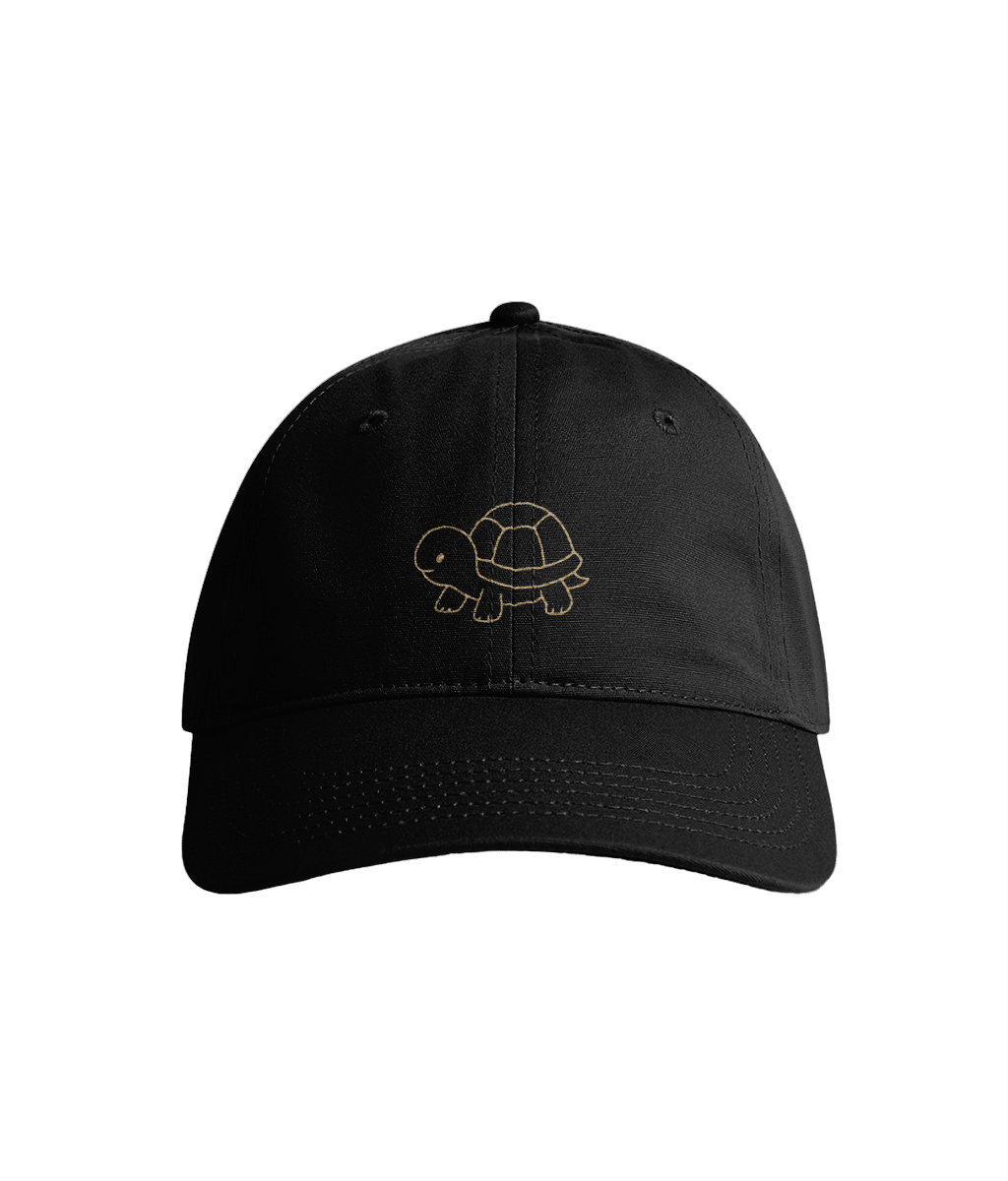 Sustainable Organic Cotton 6 - Panel Cap | Minimalist Turtle Embroidery - Loom & Sprout