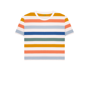 Multicolour Stripes Printed T-shirt